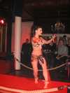 Velvet Hammer Burlesque [vergr&ouml;ssern]